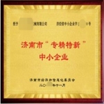 專(zhuān)精特新